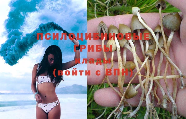 молекула духа Россошь