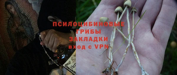 молекула духа Россошь