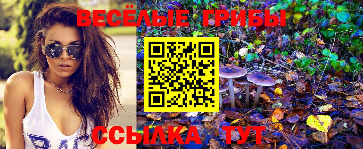 Псилоцибиновые грибы мухоморы  хочу   Златоуст 