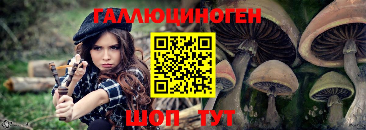 Псилоцибиновые грибы GOLDEN TEACHER Златоуст